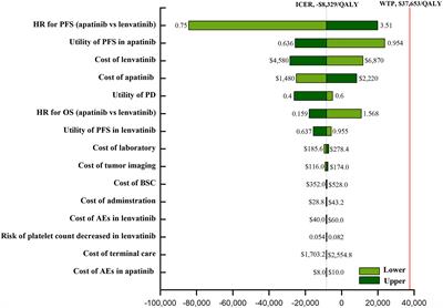 Vascular Endothelial Growth Factor Receptor Inhibitors in Chinese Patients With Advanced Radioactive Iodine-Refractory Differentiated Thyroid Cancer: A Network Meta-Analysis and Cost-Effectiveness Analysis